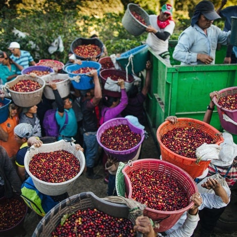 Starbucks environmental goals for farms